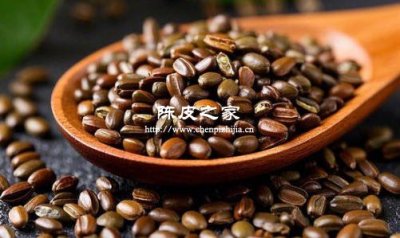 陈皮和决明子泡水喝的功效与作用