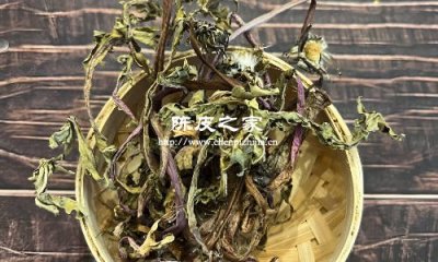 陈皮蒲公英荷叶泡水喝功效