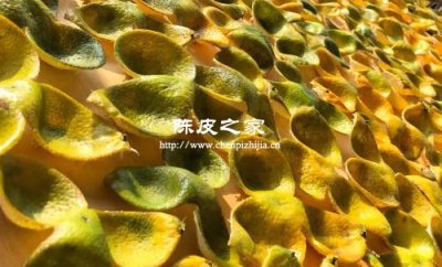 陈皮是用哪种水果皮制成的
