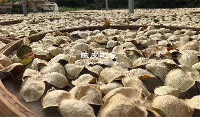 陈皮的制作能在太阳下晒吗