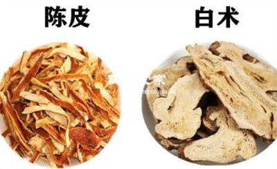 陈皮与白术泡水有什么禁忌吗