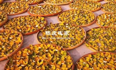 陈皮晒太阳晒温度多少合适