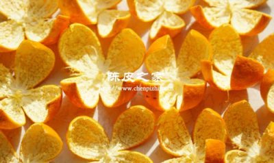 陈皮和新鲜橘子皮能一起泡水喝吗