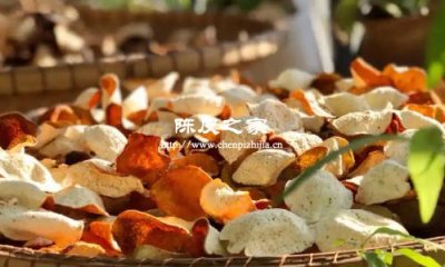 平常喝陈皮水最好最买多少年的陈皮来泡水喝