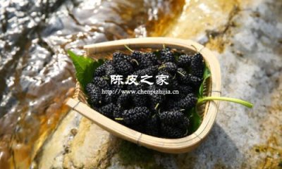 陈皮玫瑰花桑葚泡水的功效