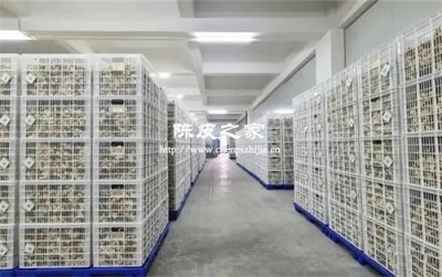 智能恒温仓如何颠覆传统陈皮陈化工艺？