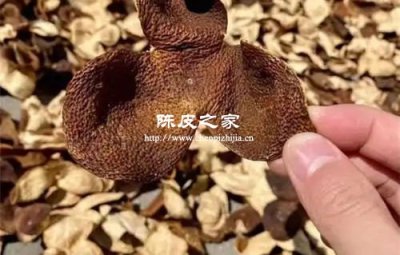 哪些人群不建议吃陈皮？