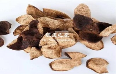 夏季用陈皮和柠檬一起泡水喝好吗？