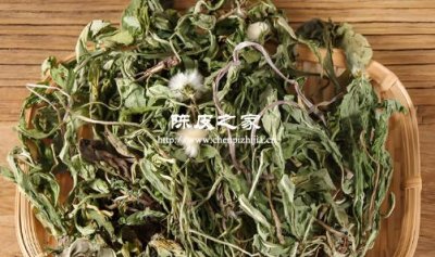 蒲公英和陈皮一起泡水喝对肝胆方面的疾病有作用吗