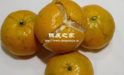 做陈皮的果肉和普通的果肉有什么区别吗