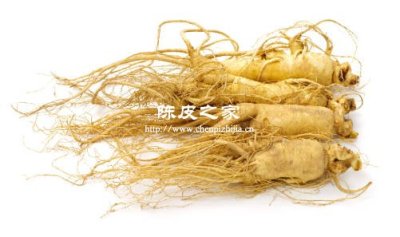 陈皮能和人参一起泡水喝吗，用量多少