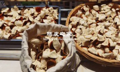 陈皮用烤箱来制作可以吗，怎么制作