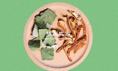 荷叶加竹叶加陈皮泡水可以吗，有什么功效