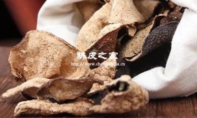 解锁陈皮散结奥秘，附最佳存放攻略