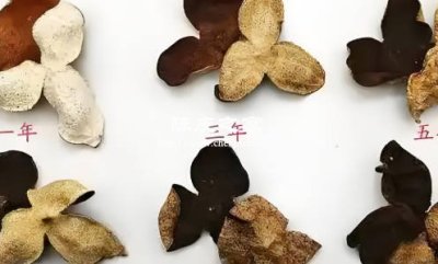 不同颜色的陈皮在功效上有区别吗