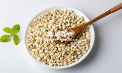 喉咙干痒？陈皮配川贝煮水比喝糖水管用