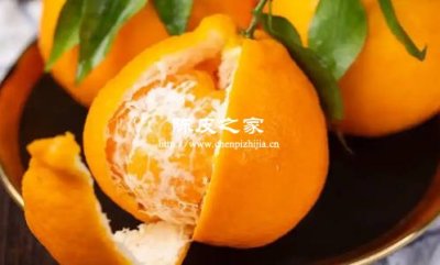 陈皮≠橘子皮！二者区别在哪？