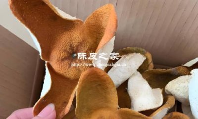 大红皮跟二红皮陈皮哪个更贵