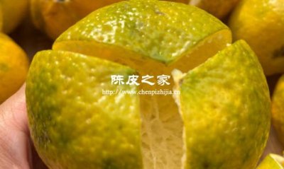 陈皮的炮制工艺与口感的微妙关系
