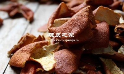 陈皮饮用新花样，让你爱上养生