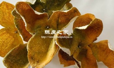 陈皮香气成分与人体情绪调节的关联研究