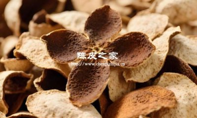 吃陈皮会上火吗?答案来了