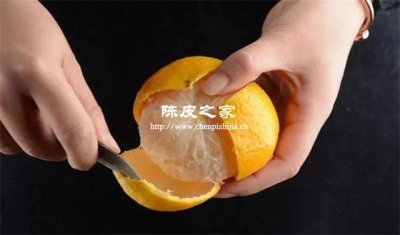 三刀开皮:岭南匠人守护的千年陈化密码