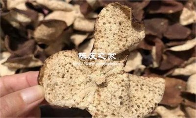 用陈皮泡水，喝错反伤身吗？