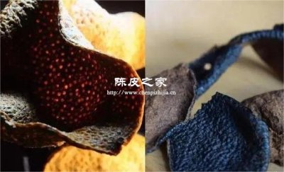 如何辨别陈皮的真假年份？