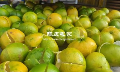 新陈皮为什么有的绿有的黄