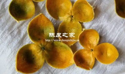 湿陈皮别暴晒！教你正确保存法，放 5 年依然香醇