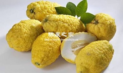陈皮配香橼，理气宽胸新选择
