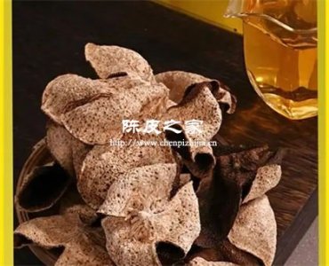 梅江陈皮“猪鬃纹”是真是假？显微镜下见分晓