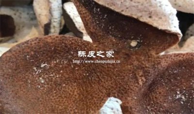 北方存陈皮为何突然粉化？湿度警报数据来了